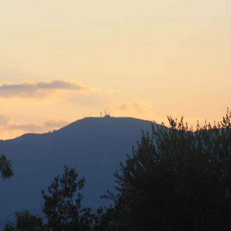 La Quercia Agriturismo อิมเปรีอา ภายนอก รูปภาพ