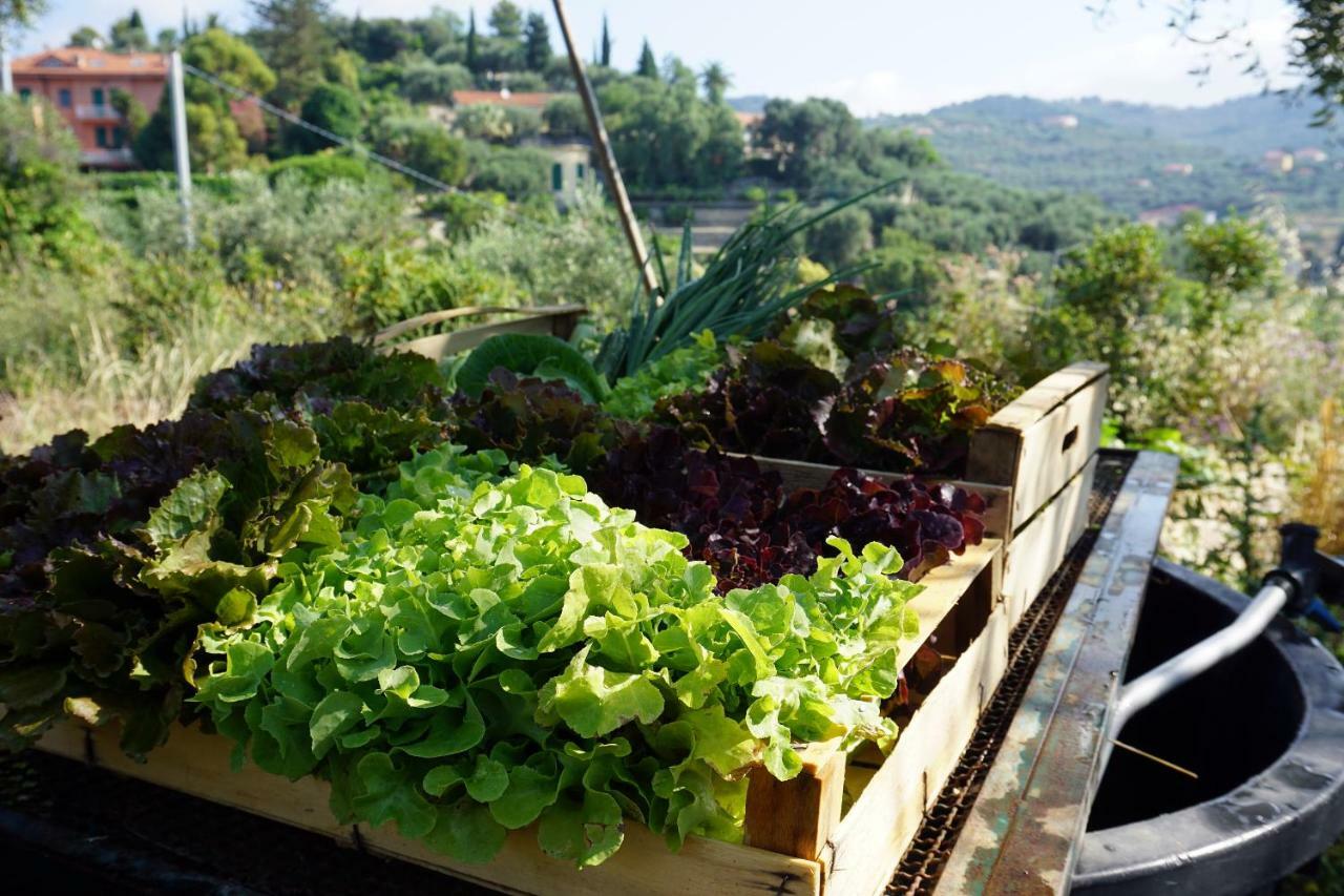 La Quercia Agriturismo อิมเปรีอา ภายนอก รูปภาพ